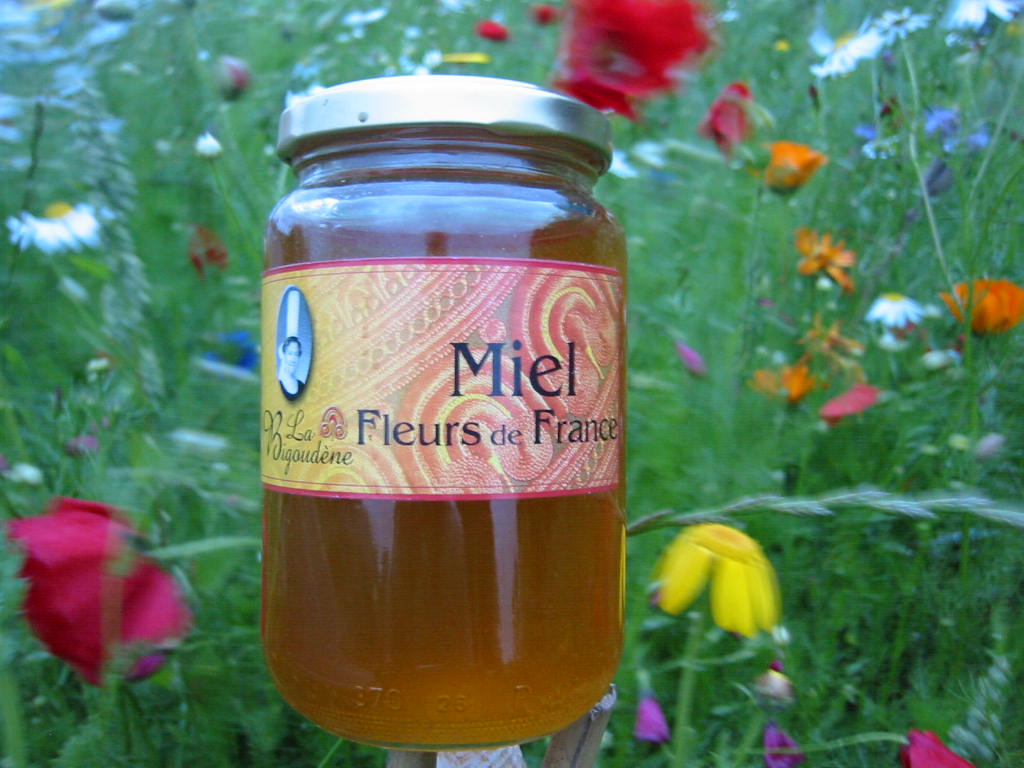 Miel de Fleurs de France 500g